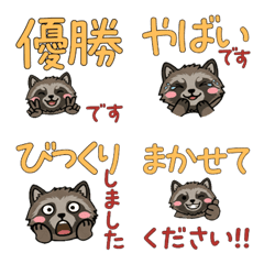 จิ้งจอกเอโซทานูกิหน้ากลม สุภาพ  23rd