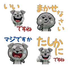 ชเนาเซอร์ ภาษาสุภาพ 11th