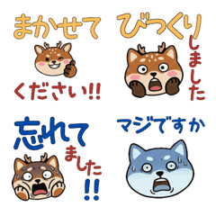 敬語丸顔エゾシカ23