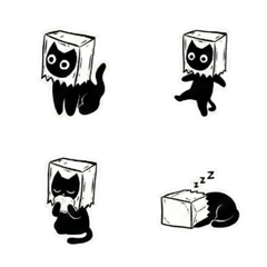 Box Cat: Masters of Disguise?