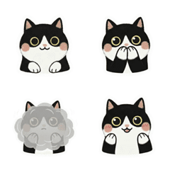 Oreo the Cat: Expressive Moods