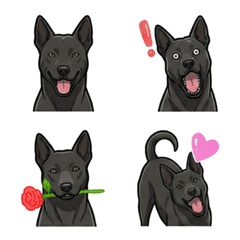 สุนัขไต้หวัน(ฟอร์โมซัน) สีดำ (หมา)