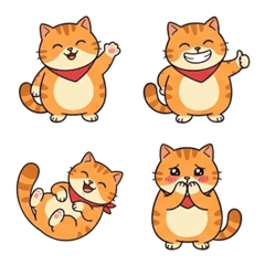 Chubby Orange Cat Daily Life