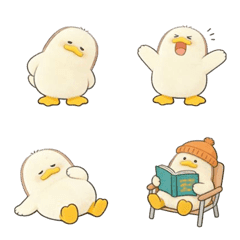 Chubby Lucky Duck(40 sets)