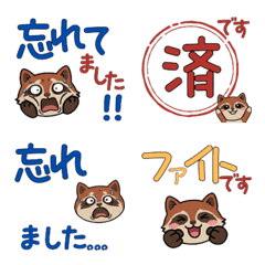 โคอาติสุภาพดุ๊กดิ๊ก  24th