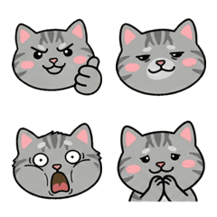 Animated American Shorthair  20th