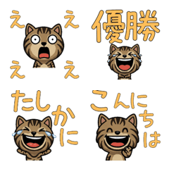 Animated Classic Tabby  4th