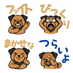 แอร์デールเทอร์เรีย ดุ๊กดิ๊ก  16th