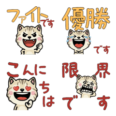 Animated Polite Lynx Point Cat  6th