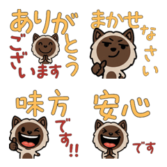 Animated Polite Chocolate Point  6th