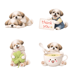 気持ち伝わる癒やしシーズー