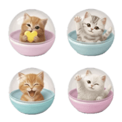 like gacha cute real cat