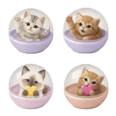 gacha cute real cat toy