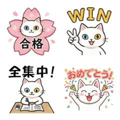 Odd-eye White Cat: Exam Support