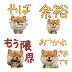 ตุ๊กตาชิบะน้ำตาล  9th