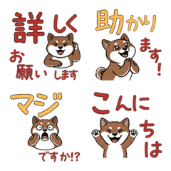 Polite Stoat (Ocojo)  17th