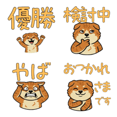 Reaction Kinkalow  15th