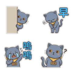 Ah Fa Cat - Emotions - Greet