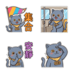 Ah Fa Cat - Emotions - Tour guide