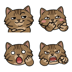 Animated Round Face Am-Bobtail 2nd