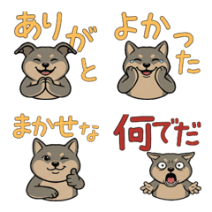 Animated Greyhound  16th