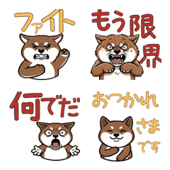 Animated Stoat (Ocojo)  16th