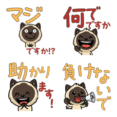 Animated Polite Seal Point Cat  6th