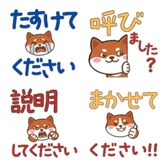 Animated Polite AmStaff  24th