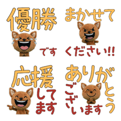 Animated Polite Chihuahua  12th