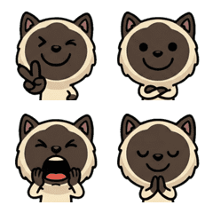 Animated Seal Point Cat  2nd