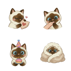 Coco the Siamese: Total Mood Swings