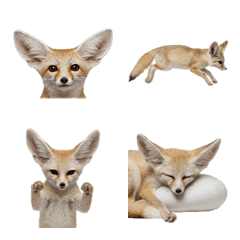 สุนัขจิ้งจอกเฟนเนก ภาพสมจริง