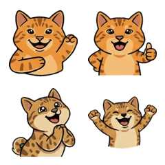 反応オシキャット13