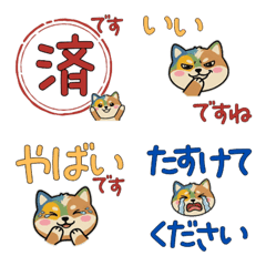 敬語丸顔インコッカー23