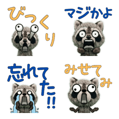 動くぬいぐるみアライグマ10