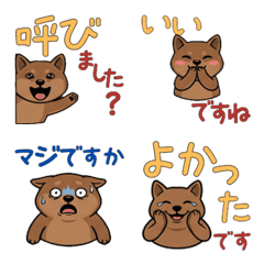 動く敬語クオッカ18