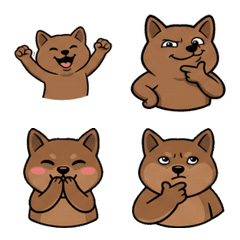 動く反応クオッカ14