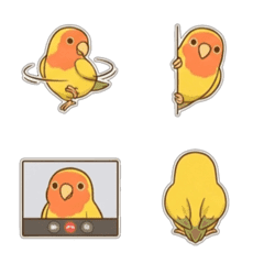 Blushing Sunny Parrot: Cute Daily Life