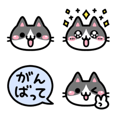 よく使う♡ハチワレ猫ちゃん