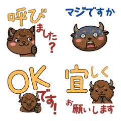 Polite Round American Bison 23rd