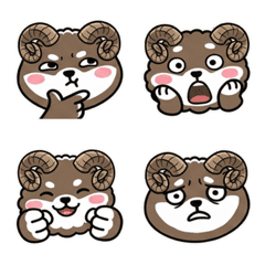 แกะอาร์กาลิ หน้ากลม 19th