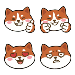 Round Face AmStaff  19th