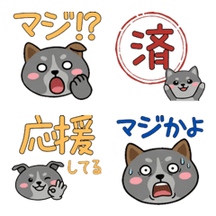 อิตาเลียนเกรย์ฮาวด์ หน้ากลม 21st