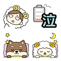 everyday life2 (with sheep)