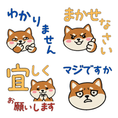 Move Polite English Setter 24th