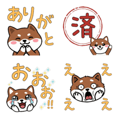 เพียงพอนเล็ก หน้ากลม 21st