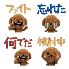 ตุ๊กตาพุดเดิ้ลน้ำตาล  9th