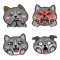 อิตาเลียนเกรย์ฮาวด์ หน้ากลม 19th