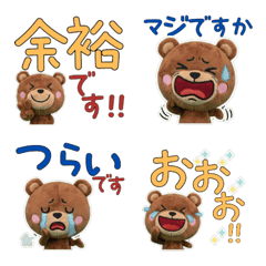 Polite Brown Bear 11th