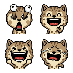 Overreaction Spotted Tabby  1st